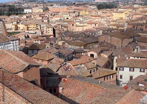 Tweety birds with terracotta tiles seen from above in a city in Italy photo