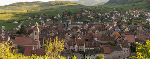 Riquewihr, France - 09 05 2023: Alsatian Vineyard. Panoramic view of vineyard fields along the wine route and Riquewihr village in the middle.