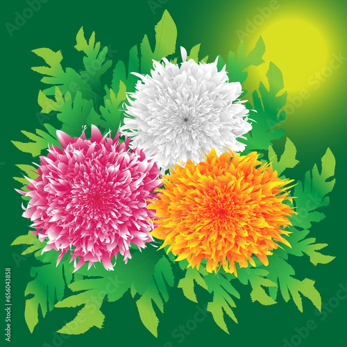 white pink and orange chrysanthemums on green background