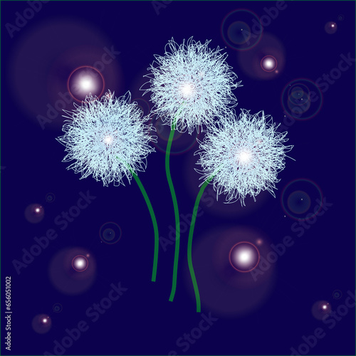 magical fluffy dandelions on a blue background