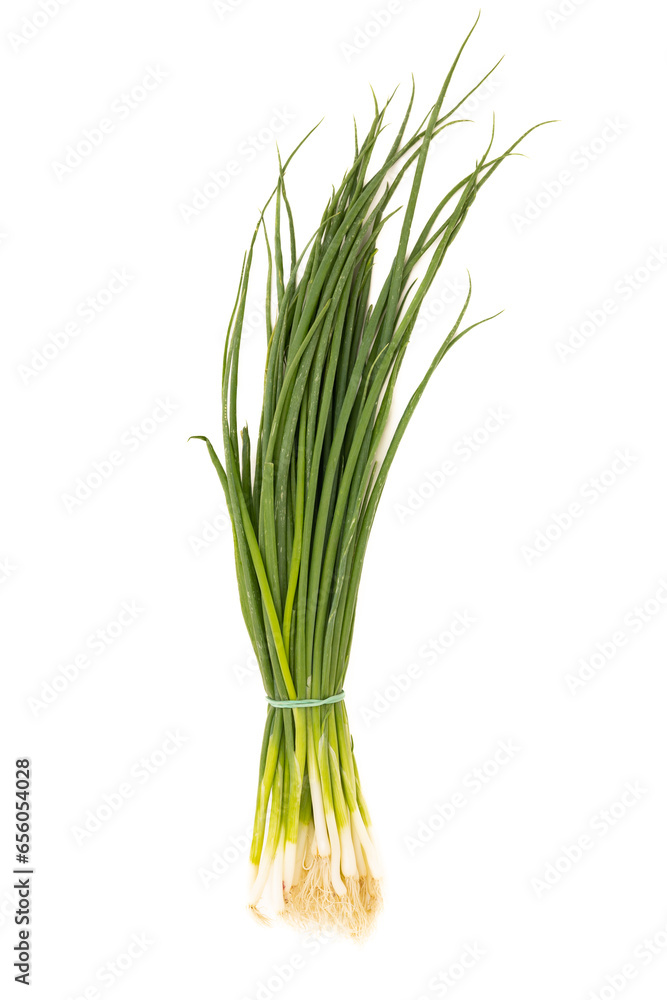 Bunch of green onions isolated on white background