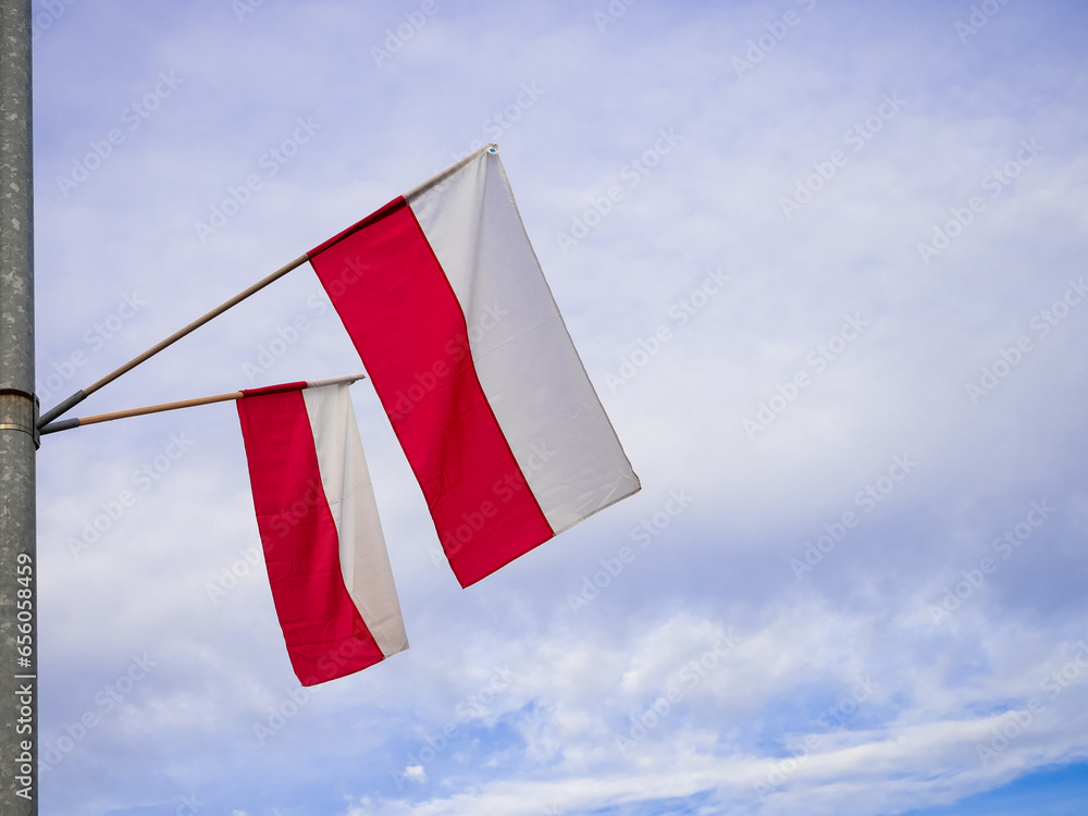 Polski flagi na maszcie - biało-czerwona flaga, Polska, 11 listopada, 3 maja, święto narodowe - obrazy, fototapety, plakaty 