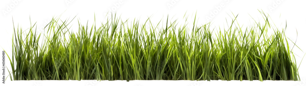 , png file of isolated cutout object on transparent background. , png file of isolated cutout object on transparent background.
