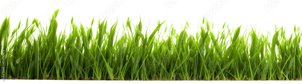 , png file of isolated cutout object on transparent background. , png file of isolated cutout object on transparent background.