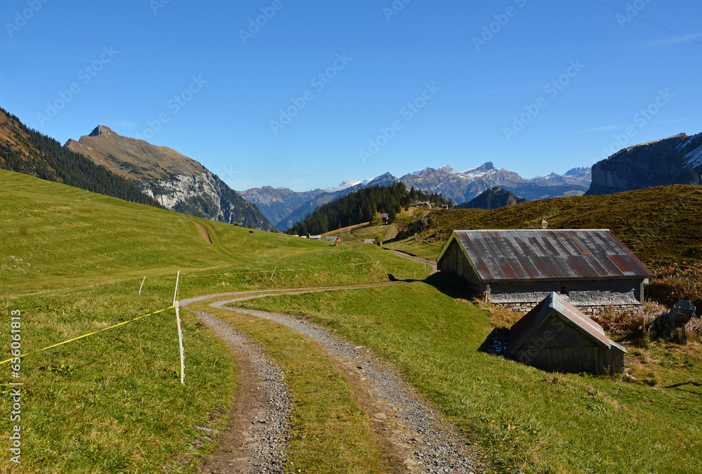 Auf der Alp Gitschenen / Alp Geissboden im Isental, Kanton Uri, Schweiz