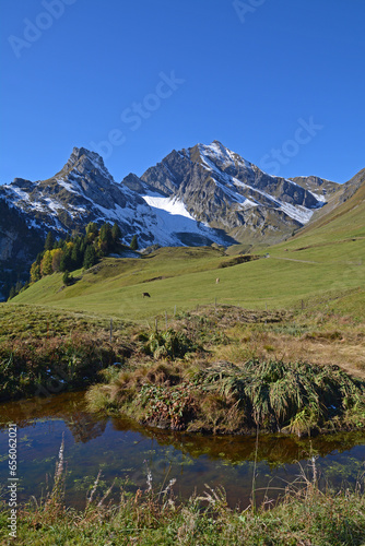 Auf der Alp Gitschenen im Grosstal  Isenthal   Kanton Uri  mit Blick auf Maisander und Hoh Briden