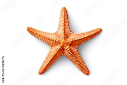 Orange starfish isolated on white background.
