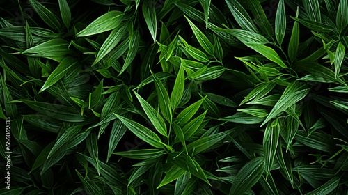 Emerald Green Grass Texture Background