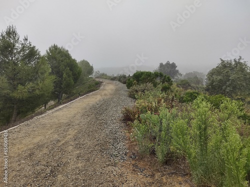 Fog on the hills 