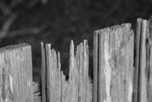 Broken Wooden Fence Panel in Black and White