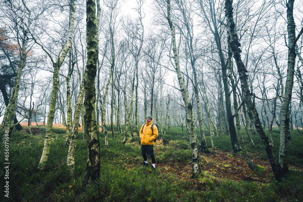 Young man with yellow winter jacket and hat, stands in birch beautifull forest with grass, during cold cloudy autumn day, Decin, Czech republic Young man with yellow winter jacket and hat, stands in birch beautifull forest with grass, during cold cloudy autumn day, Decin, Czech republic