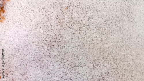 Yeast fermented as a background, Closeup fermentation process of yeast. Carbon dioxide is visible during the fermentation process in the form of bubbles in the must.