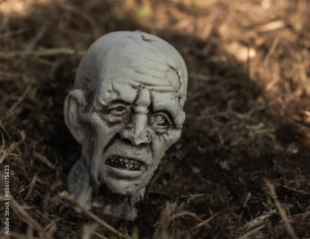 Spooky Halloween decor: Plastic zombie head emerging from the eerie grass, setting the stage for a hauntingly festive atmosphere