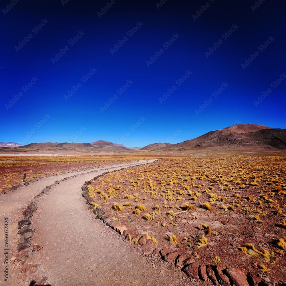 Lagunas Altiplanicas, Atacama desert
