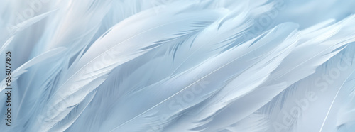 Airy soft fluffy wing bird with white feathers close-up of macro pastel blue shades on white background. Abstract gentle natural background with bird feathers macro with soft focus.