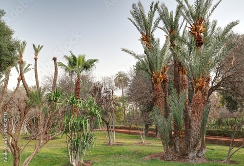 jardin oriental et architecture arabe au Maroc	 photo