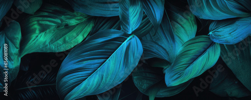 Blue green lush tropical leaves on a dark black background - Graphic resource backdrop