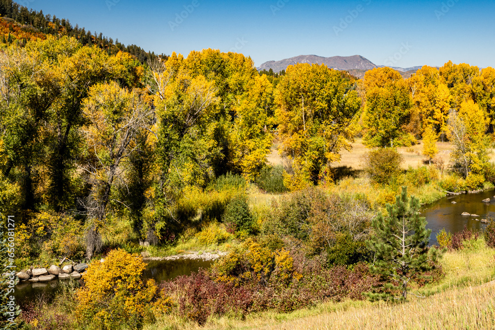 Fall Foliage around Steamboat Springs Colorado