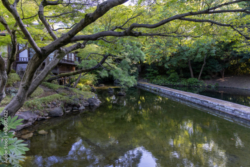 Parc Japonais Koishikawa Koraku à Tokyo