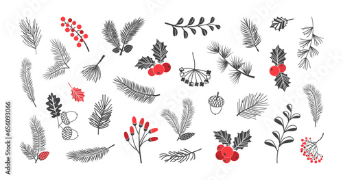 Christmas vector plant, holly winter decor, pine, leaves branches, holiday set isolated on white background. Red and black colors. Vintage holiday nature illustration