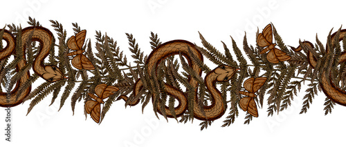 Fényképezés Snake in forest fern leaf and flying moth Magical gothic botanical seamless bord