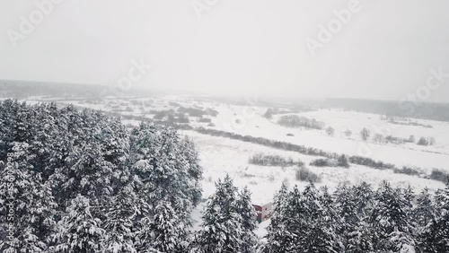 Flying nature park landscape snowy field building under construction conferious trees snowstorm. Aerial view winter forest snowfall countryside village. Winter stormy weather beautiful woodland 4k 3 photo