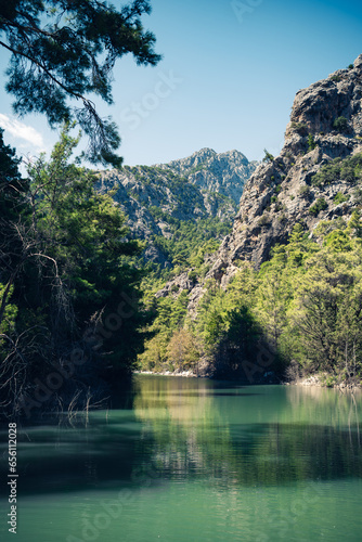 lake in the forest