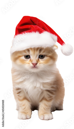 Transparent PNG Animal Santa Claus Costume © hisilly