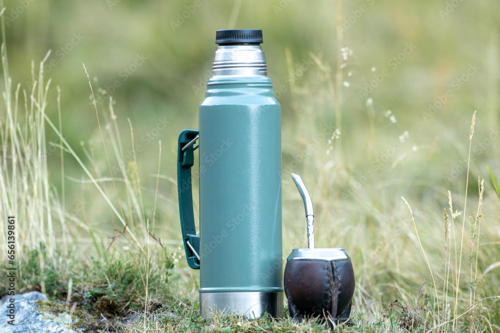 Infusion of Typical Argentine, Uruguayan, Paraguayan and Brazilian Mate in the forest