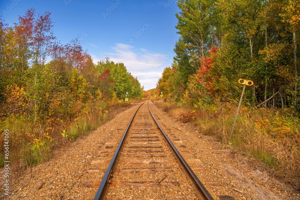 Obraz premium railway in autumn