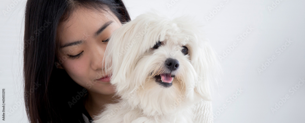 Young asian woman carrying with fluffy dog shih tzu with love in living room at home, friends pet with companion, woman playful and hug with animal for relax, female and friendly of puppy. Young asian woman carrying with fluffy dog shih tzu with love in living room at home, friends pet with companion, woman playful and hug with animal for relax, female and friendly of puppy.