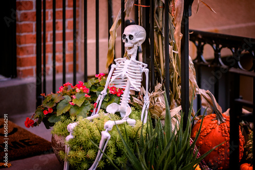 Skeleton outdoor decoration to celebrate Halloween 