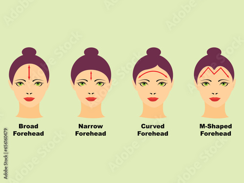 Heads of women with different types of forehead