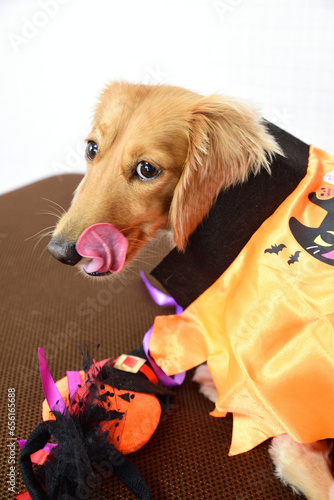 Trick or Treat 