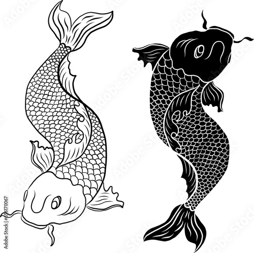 koi carp vector isolate for tattoo.Japanese carp drawing.Hand drawn line art of Koi carp. Vector isolated. Idea for tattoo and coloring books.
