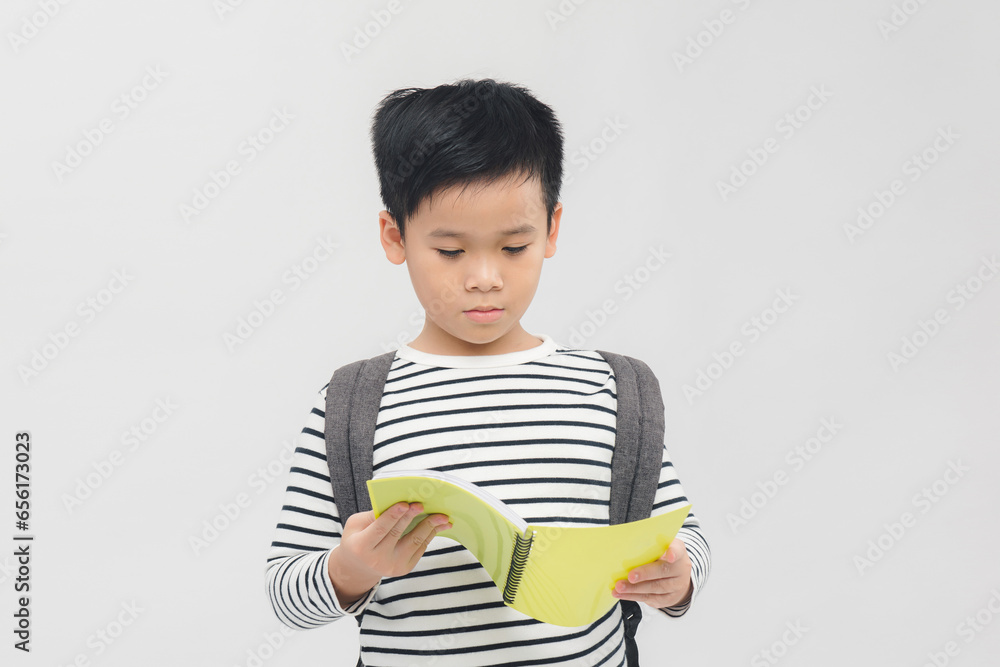 Banner of happy smiling 10 year-old asian boy with backpack and books ready to go to school Banner of happy smiling 10 year-old asian boy with backpack and books ready to go to school