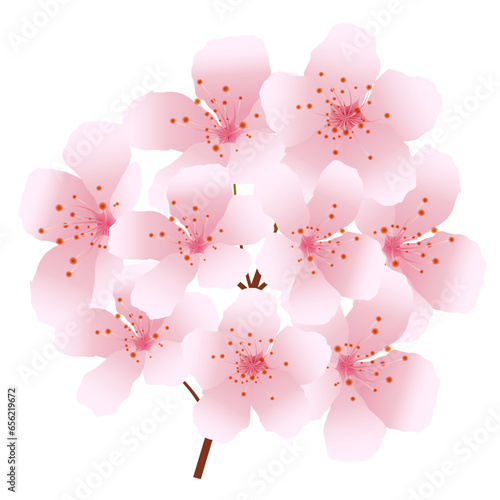 Ê°ú„ÄÄÊò•„ÄÄÊ∞¥ÂΩ©„ÄÄ„Ç¢„Ç§„Ç≥„É≥