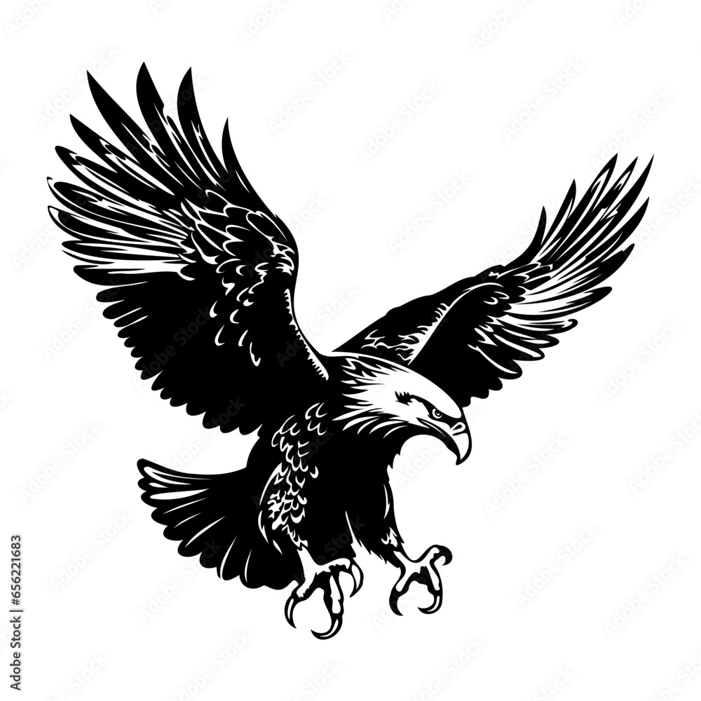 Obraz premium Bald flying eagle Illustrations