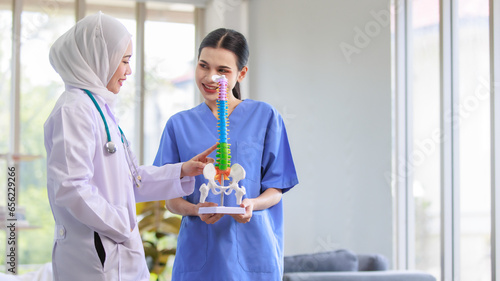Asian professional successful experienced muslim female doctor in white lab coat with hijab stethoscope talking with assistant nurse in blue uniform holding spine skeleton model sample in hospital