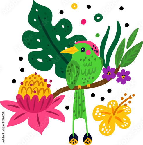 Tropical birds poster. Bright parrot and jungle plants. Rainforest creature. Color hummingbird. Hibiscus flowers. Flying feathered animal. Green colibri on palm branch. Vector summer card
