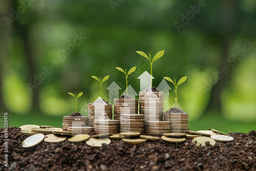 Green business growth or green investment and Finance sustainable development concept. Stack of silver coins the seedlings are growing on top with arrow of growth. Carbon credit, ESG, co2, green tax. photo