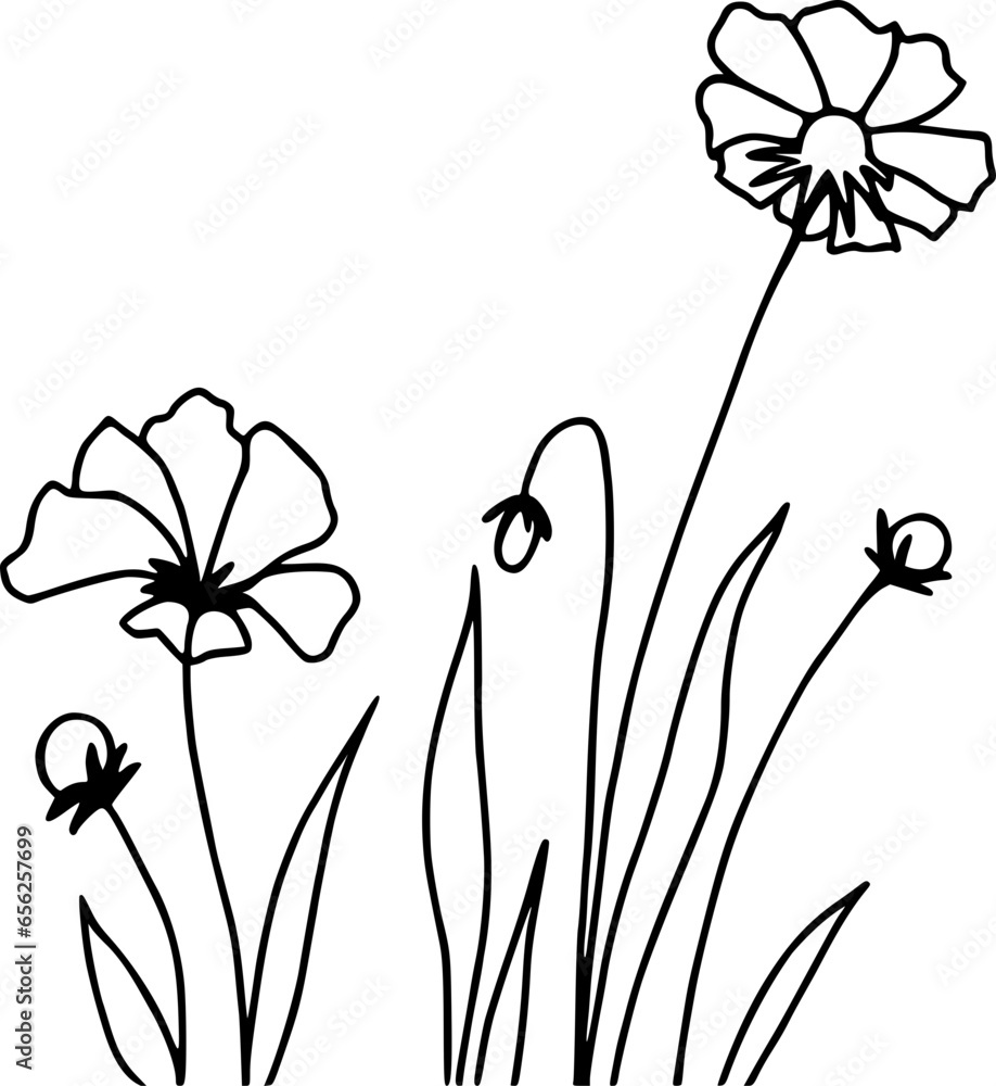 Naklejka premium Wildflowers and grass line art