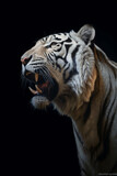 a white saber-toothed tiger on dark background
