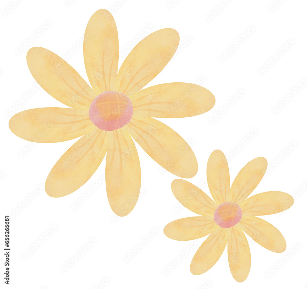 The flower drawing png image The flower drawing png image