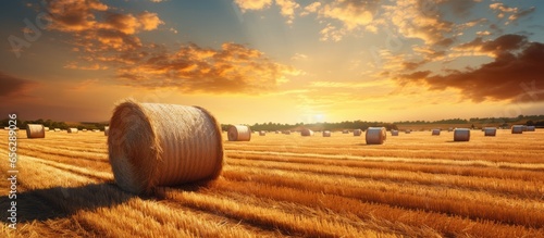 Rustic countryside view with a stunning sunset above a vast field of rolled straw