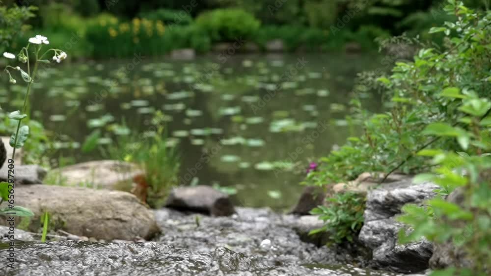 Water flows in slow motion bubbling down across rocks into out of focus lily pond Water flows in slow motion bubbling down across rocks into out of focus lily pond