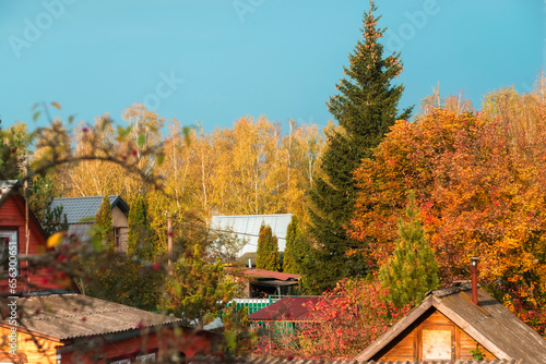 Village in autumn. Roofs of houses