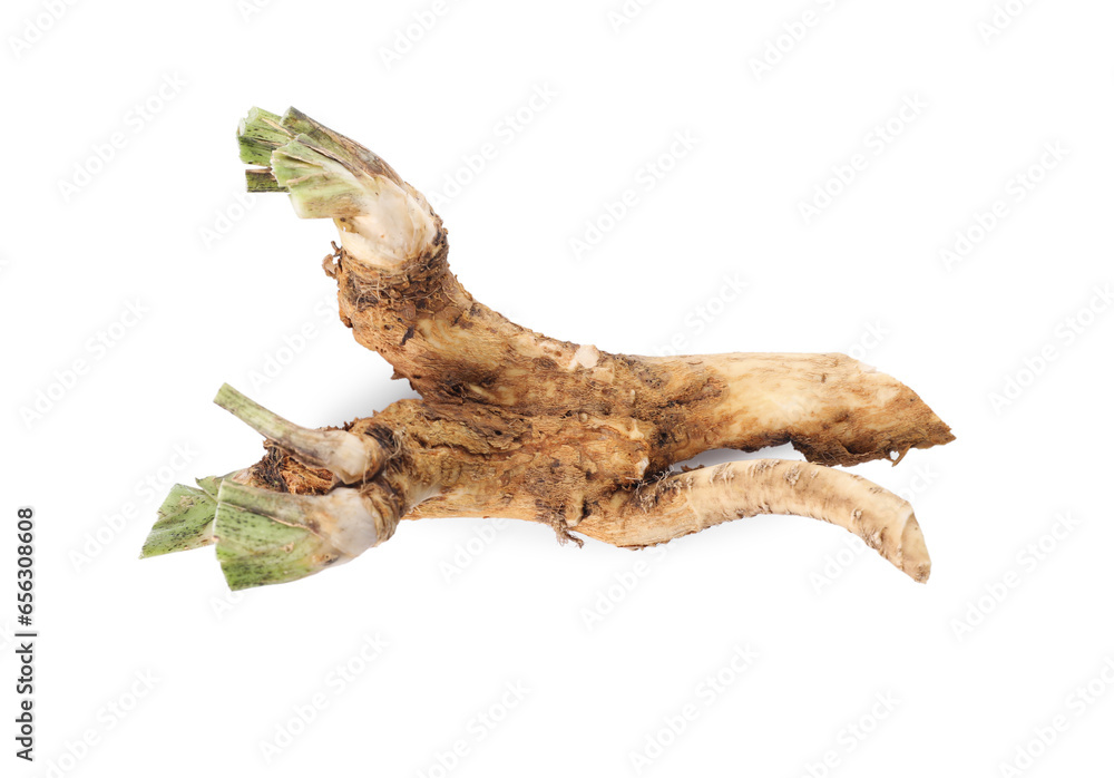 Fresh horseradish roots isolated on white, top view Fresh horseradish roots isolated on white, top view