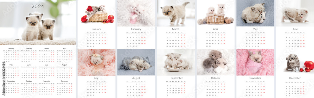 2024 Photo calendar with cute cats. Annual daily planner template with feline kitty animals. The week starts on Monday - obrazy, fototapety, plakaty 