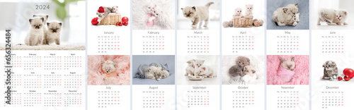 Fototapeta Naklejka Na Ścianę i Meble -  2024 Photo calendar with cute cats. Annual daily planner template with feline kitty animals. The week starts on Monday